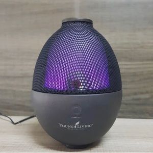 Rainstone diffuser from YL with ionizer